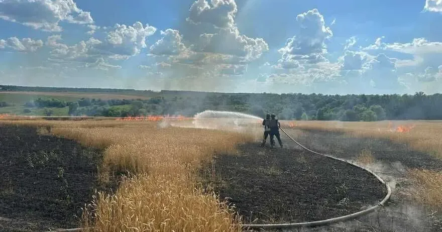 Фото з офіційного сайту ДСНС "Ворог знищує найцінніше - хліб", - повідомляє очільник Золочівської громади на порталі Gromada Group