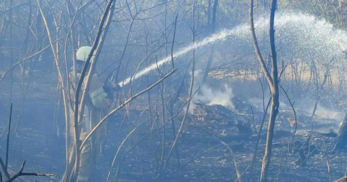 Фото з місця події село Лютівка, Золочівської громади, 15.09.2024 року У Золочівській громаді виникла пожежа на порталі Gromada Group